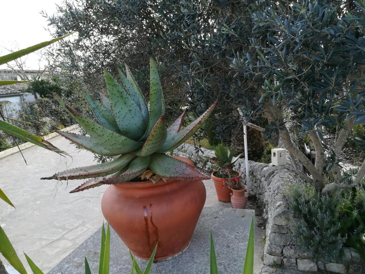 Casa Degli Avi Don Neli, Immersa Nella Natura Модіка Екстер'єр фото