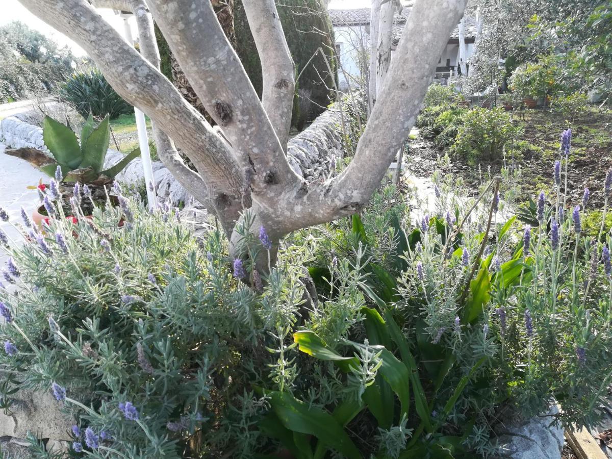 Casa Degli Avi Don Neli, Immersa Nella Natura Модіка Екстер'єр фото
