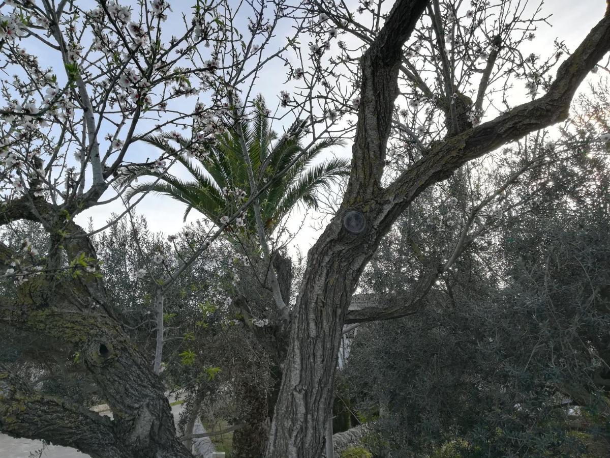 Casa Degli Avi Don Neli, Immersa Nella Natura Модіка Екстер'єр фото